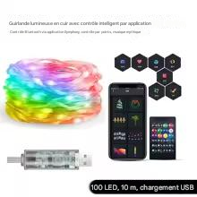 guirlande LED bluetooth